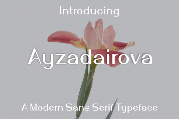 Ayzadairova: A Modern Sans Serif Typeface for Editorial Design