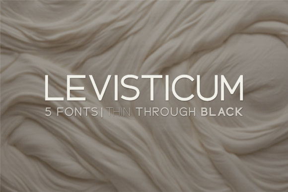 Levisticum: A Versatile Sans Serif Font for Editorial Design